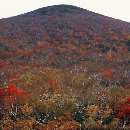 Ny Building 4Th Floor, Guest House Ichibangai, Roo / Vacation Stay 55905 Kitami Exterior foto