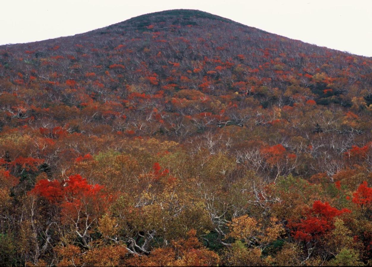 Ny Building 4Th Floor, Guest House Ichibangai, Roo / Vacation Stay 55905 Kitami Exterior foto